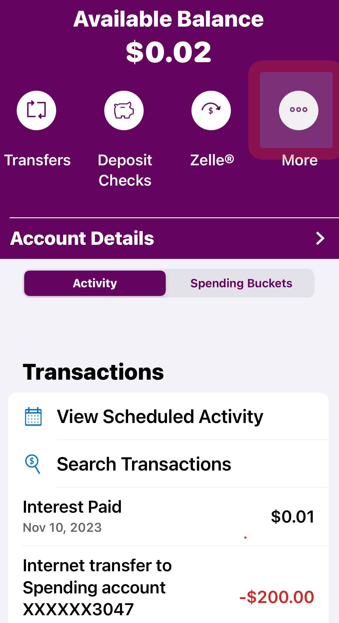 Ally account details summary