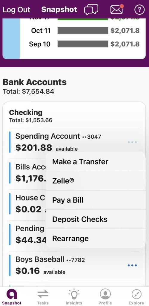 Ally checking transactions