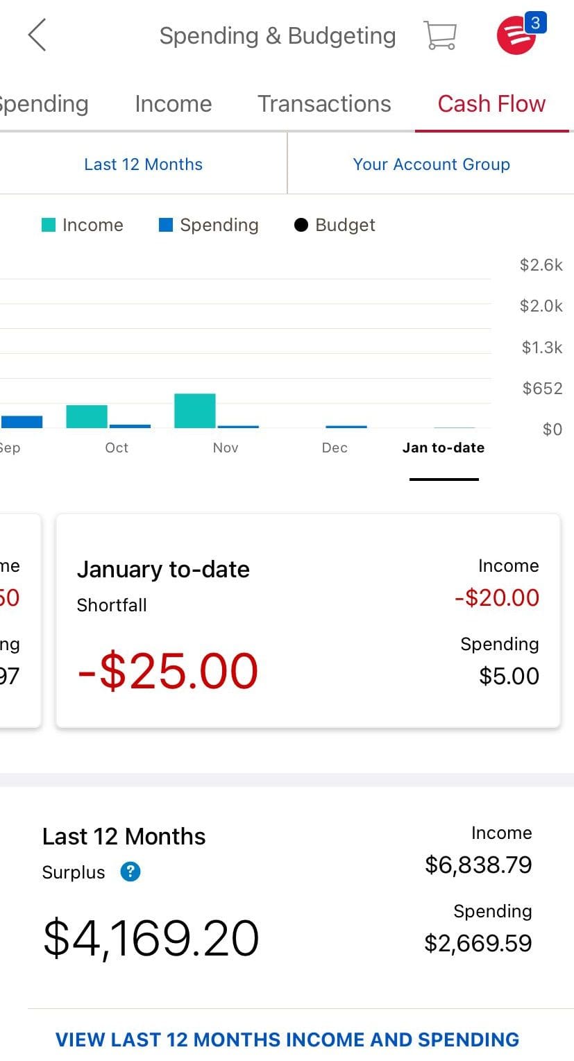 BofA checking cash flow chart